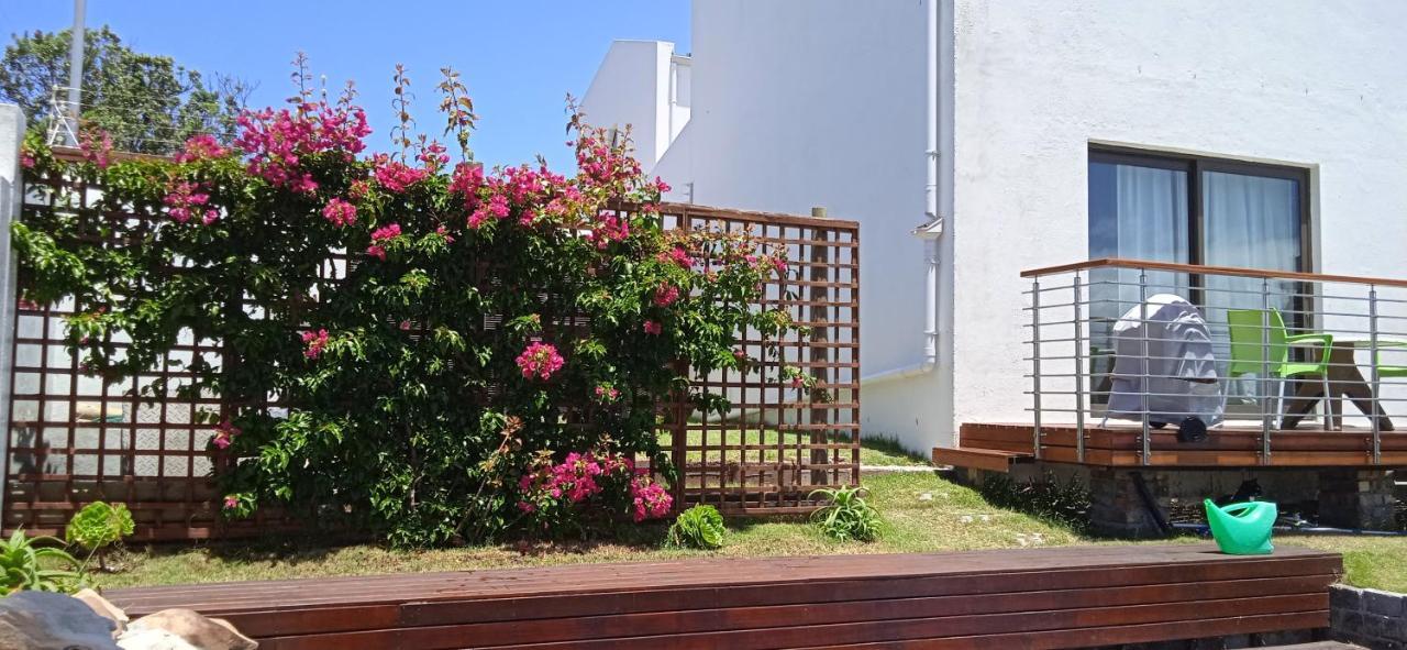 Vlei Cove Guesthouse Κέιπ Τάουν Εξωτερικό φωτογραφία